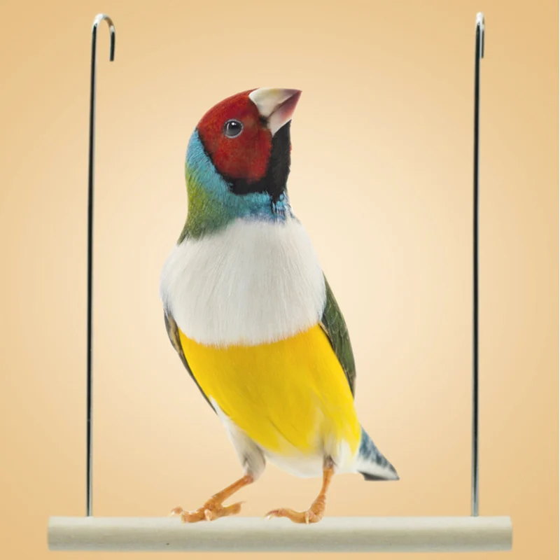

Birds Pets Parrots Ladders Climbing Toy Wooden Parrots Chewing Toy for Hanging Tiger Peony Parrot Hammock Swing Toy