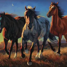 Steppe steed DIY живопись по номерам 24 цвета пигментная кисть Искусство Ручная роспись креативная цифровая картина маслом