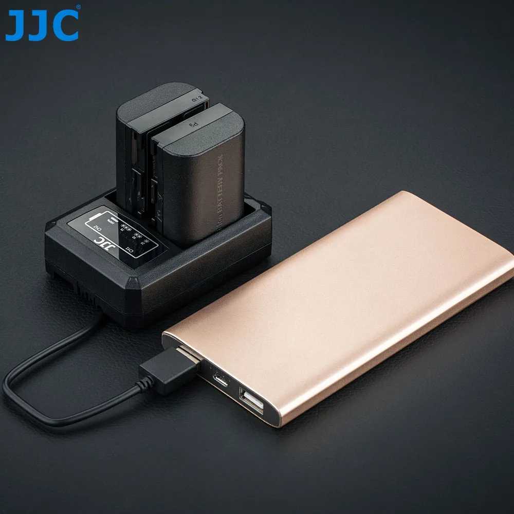 JJC USB двойное зарядное устройство для Canon LP-E6 LP-E6N EOS R 5D Mark IV 5D Mark III батарея для камеры заменяет LC-E6 LC-E6E