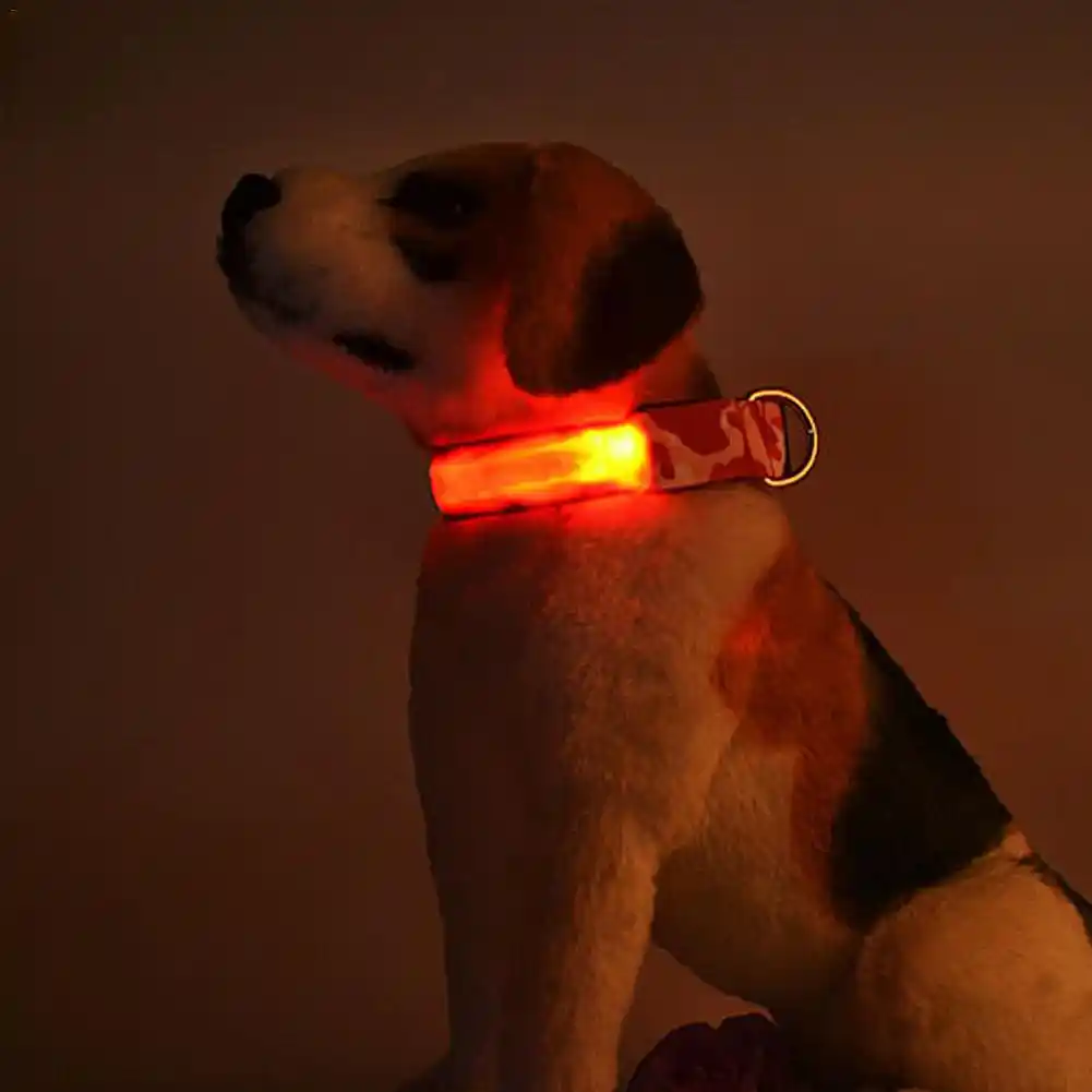 glow leash for dogs