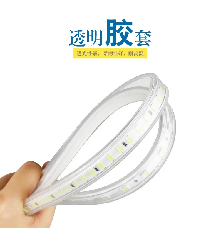 1000m Pack, Outdoor 220V LED Flexible Neon Stripe of Ocean Blue with 5730 Beads / 100m per Spool / 3 Years Warranty