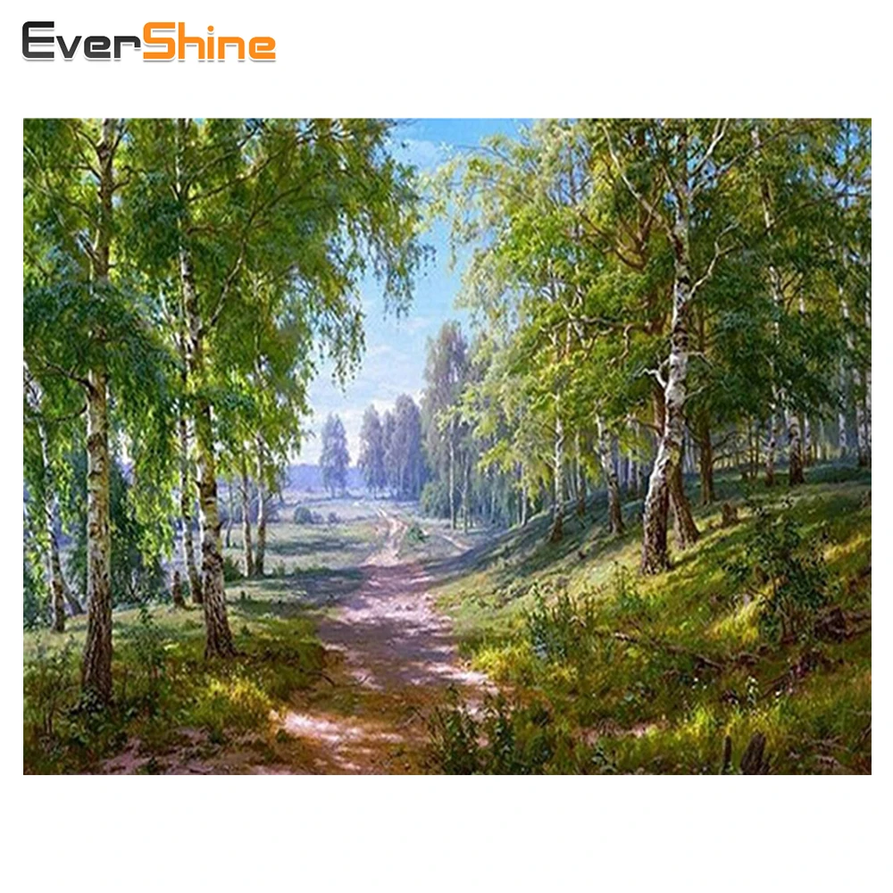 EverShine, 5D, сделай сам, алмазная вышивка, пейзаж, полная Алмазная мозаика, набор, вышивка крестиком, алмазная живопись, пейзаж, стразы, Декор