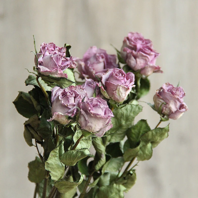 5Pcs Natural rose dried flowers bouquet home hotel decorative eternal