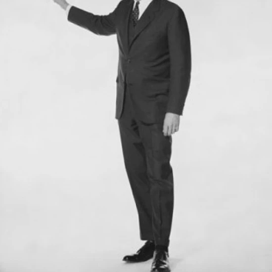 Portrait of a businessman pointing sideways Poster Print (18 x 24)