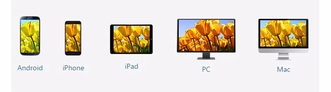 HTB1Krs6LFXXXXcDaXXXq6xXFXXXT