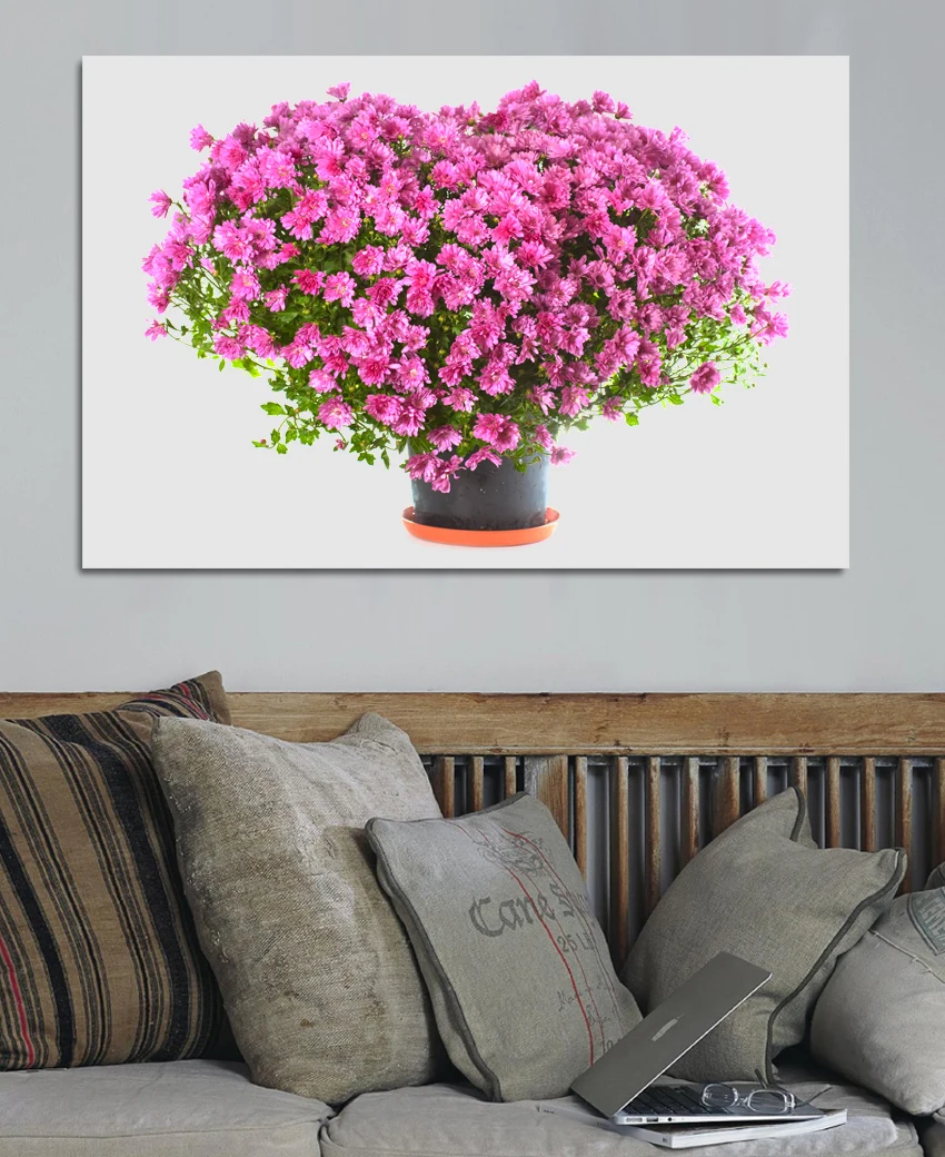 Online kopen wholesale roze witte bloemen uit china roze witte ...