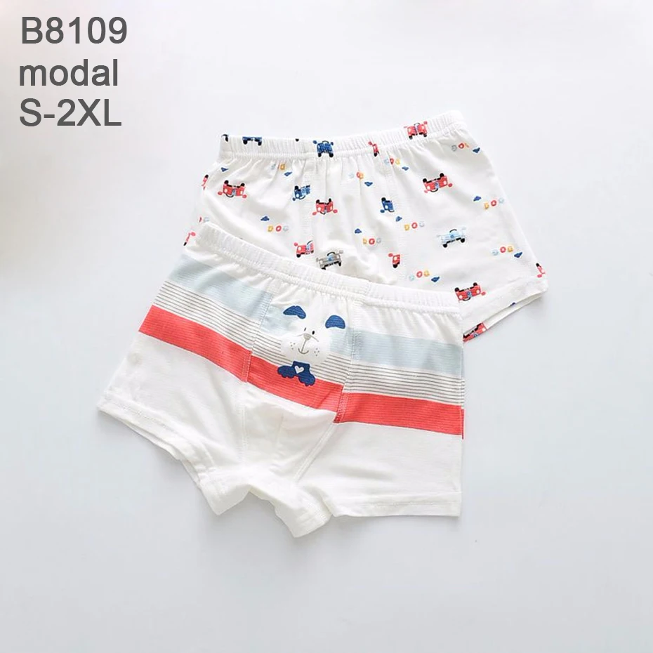 B8109