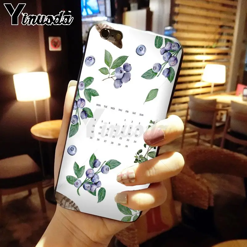 blueberry cherry summer fruit