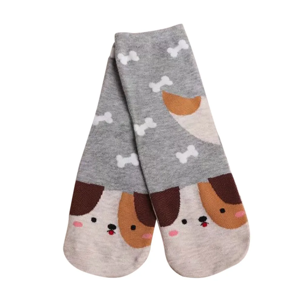 feitong women socks funny ladies girls cotton warm soft sox guess