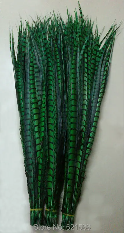 

30Pcs 30-35inches 80-90cm long Green Lady Amherst pheasant tail feather,great for home decor, costumes, weddings and event decor