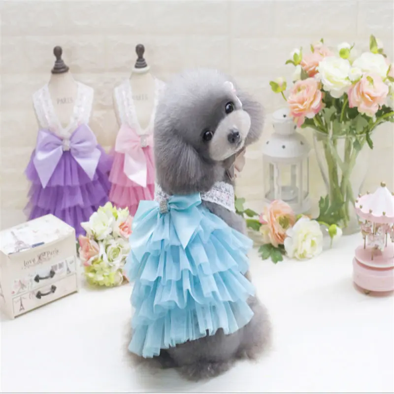 QQ20190226152424