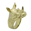 Rany&Roy Newest Rhinoceros Ring 316L Stainless Steel Fashion Jewelry Protect Rhinoceros Ring 5