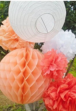 

6PCS Mixed Peach Coral White Paper Lantern Paper Honeycomb Balls Paper Pompoms Flower Themed Party Hanging Decoration Favour