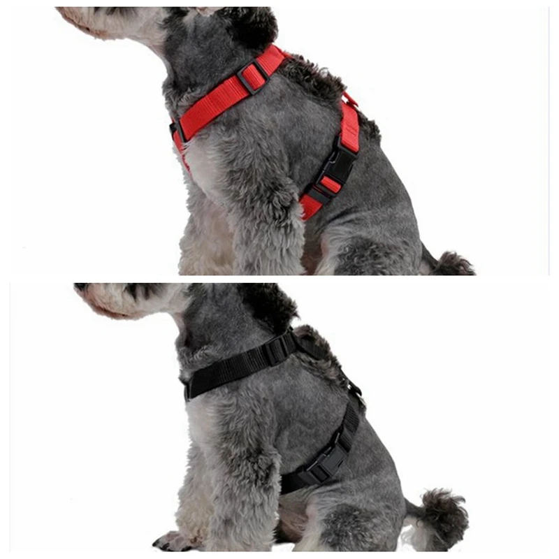 dog harness (25)