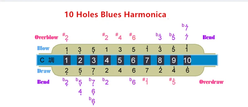 10 отверстий Лебедь гармоника Диатоническая Блюз Арфы духовой музыкальный инструмент рот Органы для блюз-рок страна народная Джаз