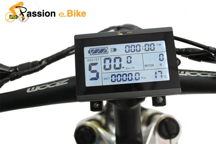 Buy passion ebike 24V 36V 48V ebike intelligent LCD3