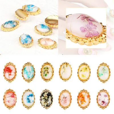 

new arrival Mixed Dried Flowers Shell Nail Art DIY Decoration Preserved Flower glamorous and stunning Decoration #1107&