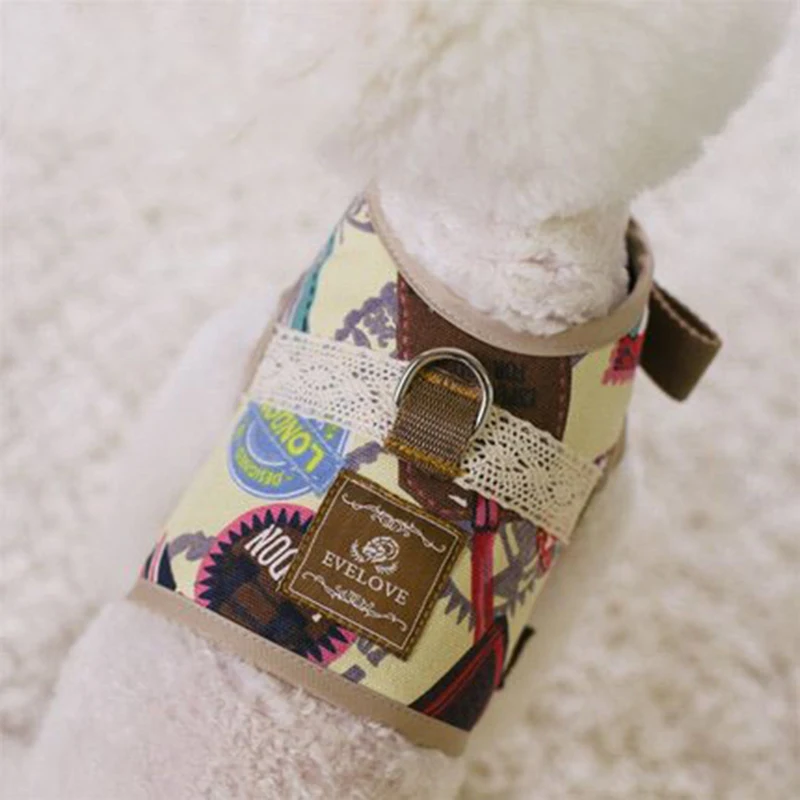 chihuahua dog accessories (8)