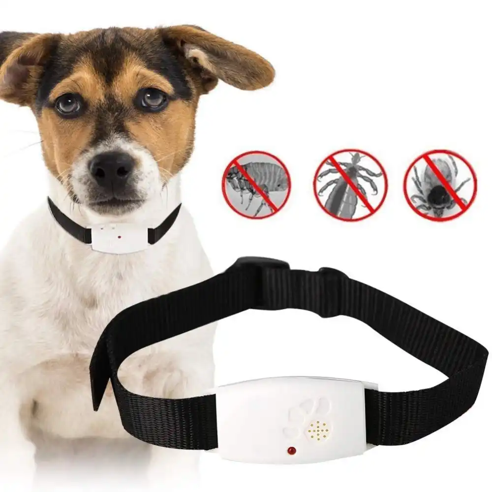 Electronic flea collar Clearance
