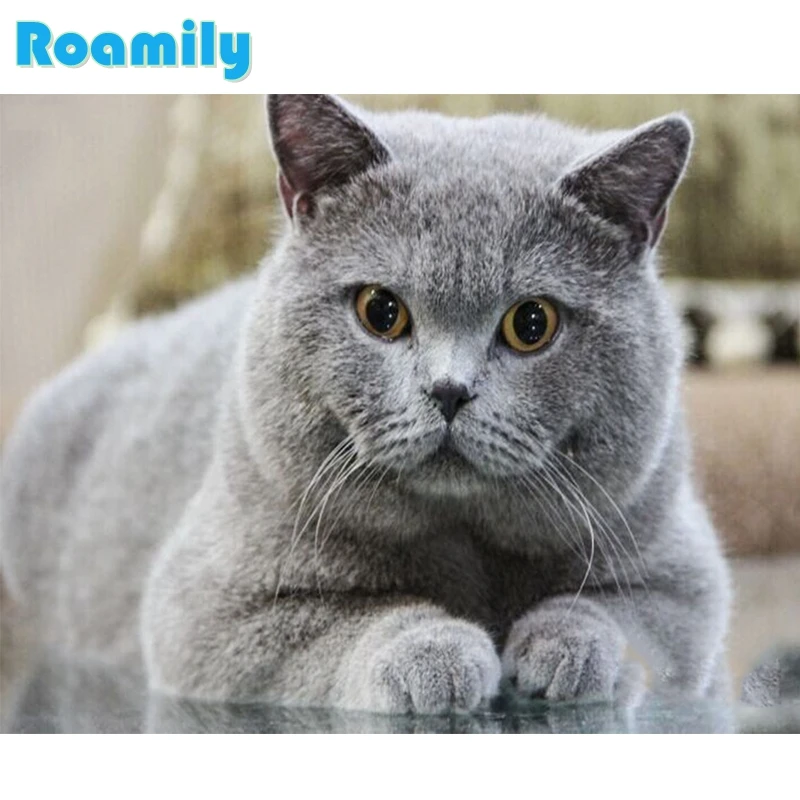 

Diamond Painting Full Square,Lovely Fat Gray Cat,Picture By Rhinestones,Picture on Wall,Hobby Diamant Painting Met Steentjes