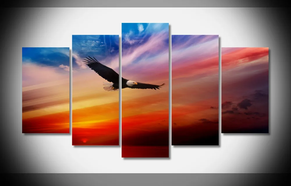 8236 animals eagle flying sunset bald eagle birds poster Print poster