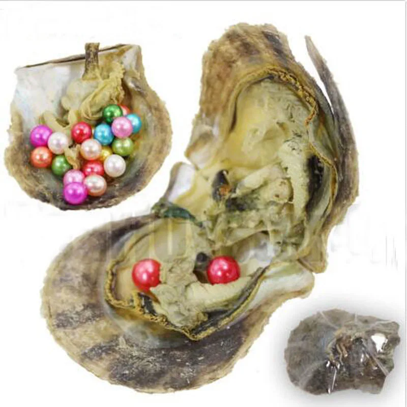 Смешанные цвета Твин жемчуг Oyster Рождественский жемчуг, Akoya Круглый 6-7 мм класс AAA жемчуг в вакуумной упаковке Oyster 10 шт FP380