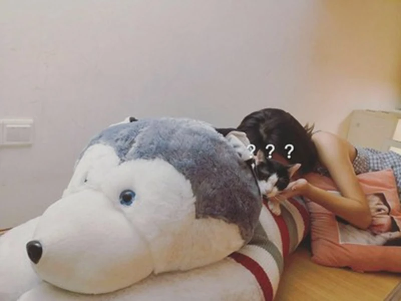 Pop Jumbo Animal Husky Plush Toy Giant Stuffed Cartoon Dog Doll Sleeping Pillow for Girlfriend Gift Decoration 150cm 170cm 190cm DY50439 (6)