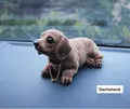 Dachshund
