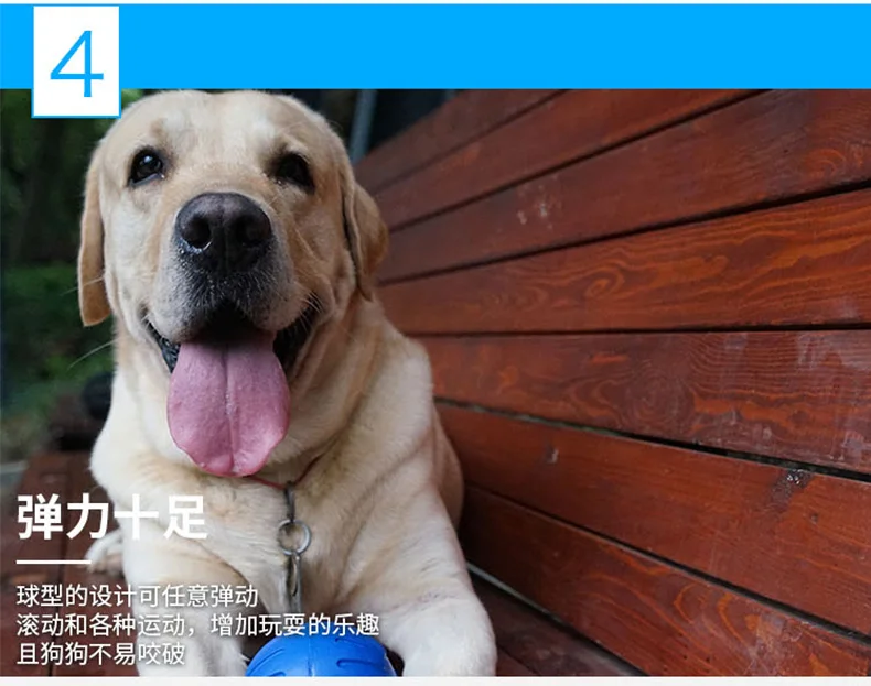 Pet toys bite-resistant floating rubber ball golden fur border animal husbandry Samo dog interactive puzzle ball large dog