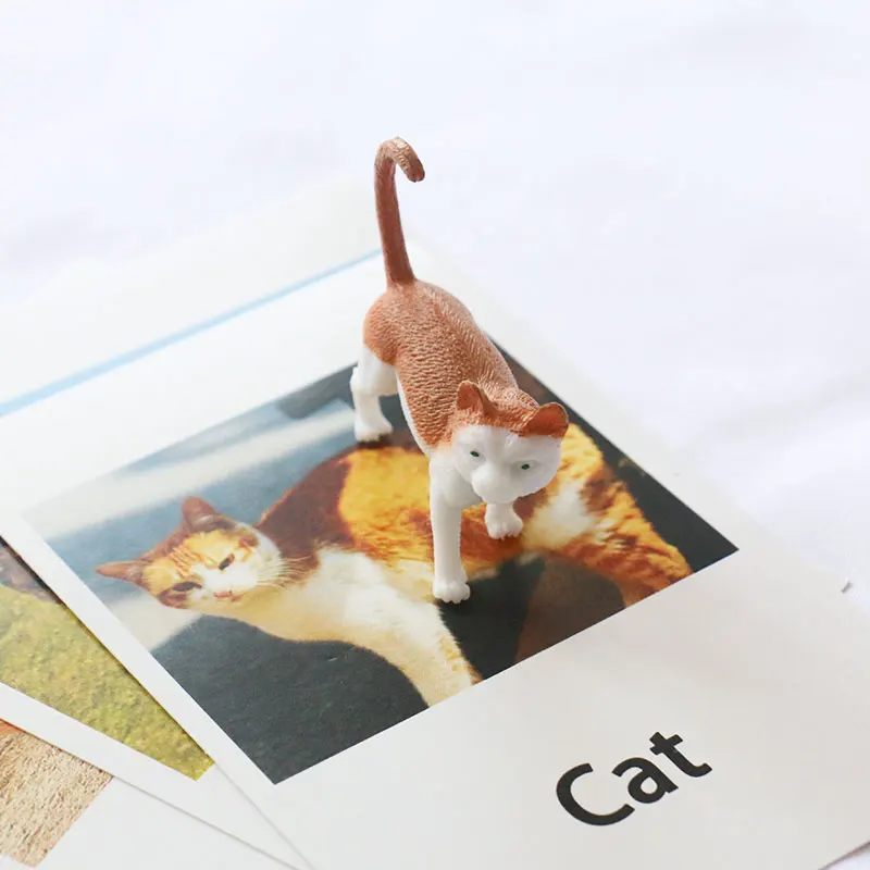 Montessori Toys For 3 Year Olds Poultry Animals Educational Early Learning Toys For Children Birthday Gift MJ1264H Montessori Toys For 3 Year Olds Poultry Animals Educational Early Learning Toys For Children Birthday Gift MJ1264H