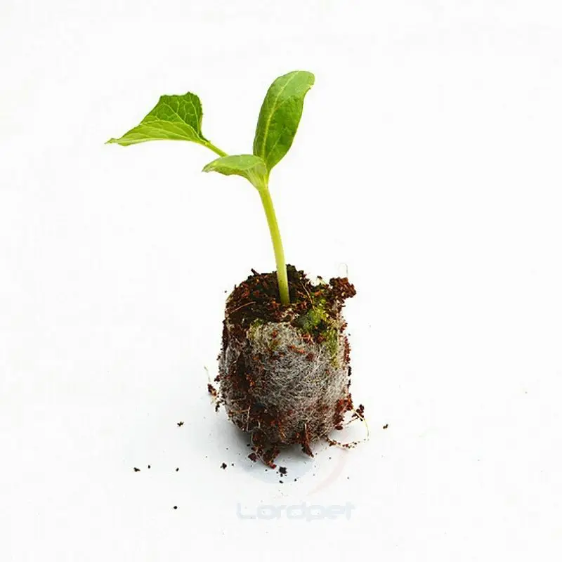30 мм детский Jiffy торф гранулы семян стартер блоки грунта под рассаду инструмент для теплицы Садовые принадлежности
