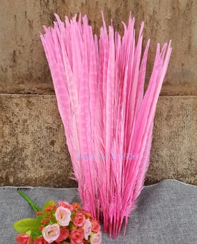 

Free shipping 100pcs /lot 50-55cm dyed pink Pheasant Feather decorative feathers for costumes dance party wedding hat diy craft