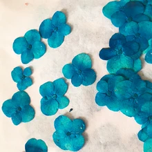 30 шт. краситель синий Гортензия сухой цветок для DIY живопись оптом