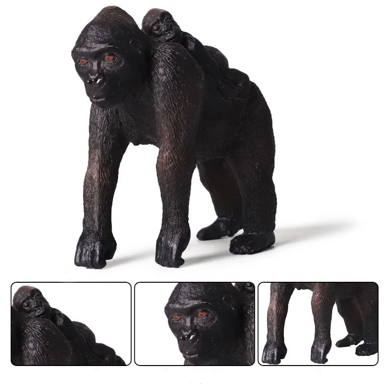 Gorilla (3)