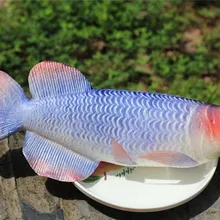 Arowana имитация рыбы искусственная модель из морепродуктов детские игрушки для еды модель для кухни реквизит для украшения обучающие материалы учебные материалы
