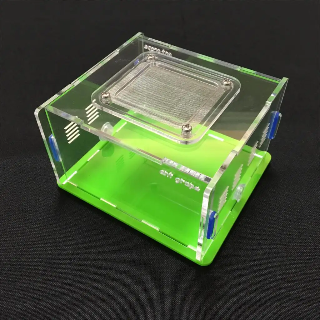 ant grape series M size ant nest active area  ,ant farm acryl, insect nests villa new pet advanced mania for house ants