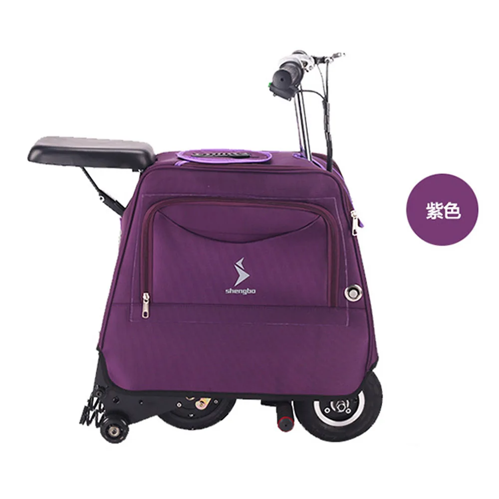 LUGGAGE SCOOTER (19)