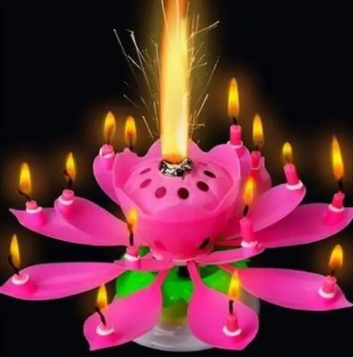 Bougie Musicale D Anniversaire 2 Couches Fleur De Lotus Magique Fleur Rotative 14 Petites Bougies De Fete Cadeau Pour Garniture De Gateau Aliexpress