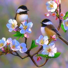 Алмазная вышивка значок Cherry Blossom синицы птицы обычай алмаз живопись полный квадратный алмаз живопись эйген фото Роза кошка