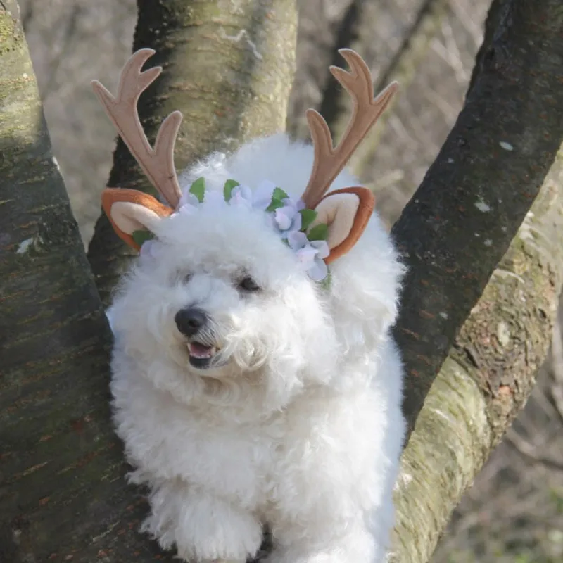 Новинка года! Рождественские шапки для собак с изображением оленя и цветов, головные уборы для собак, кошек, аксессуары для животных принадлежности 3 размера