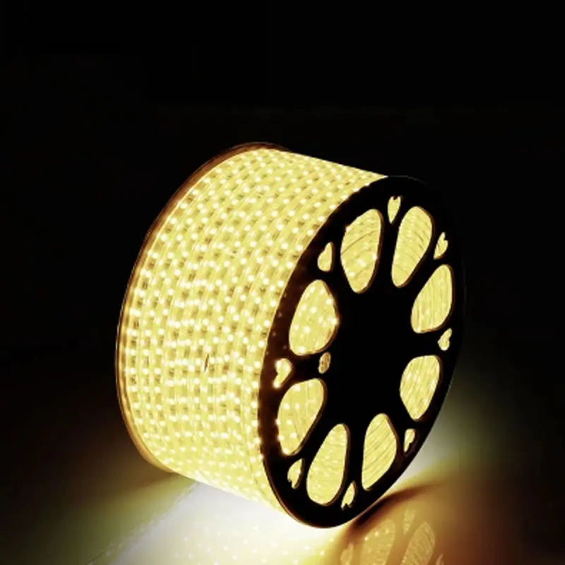 AC220V-led-strip-light-3014-120led-m-waterproof-IP65-led-tape-with-power-plug1m3m5m50m100m-led-rope (2)