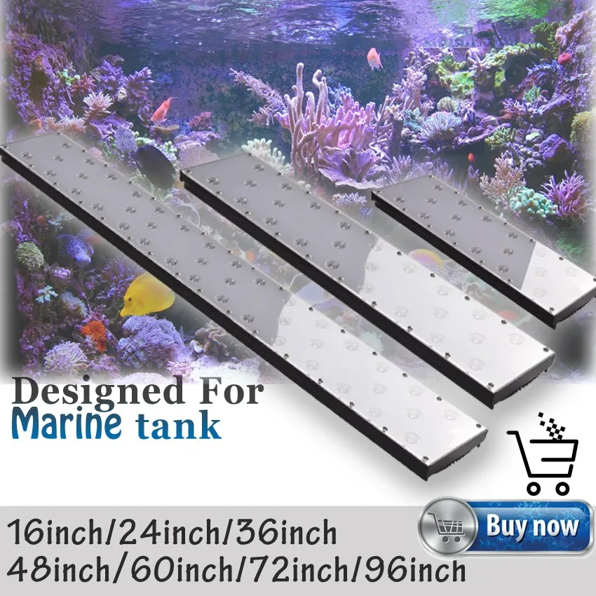 Marine Tank