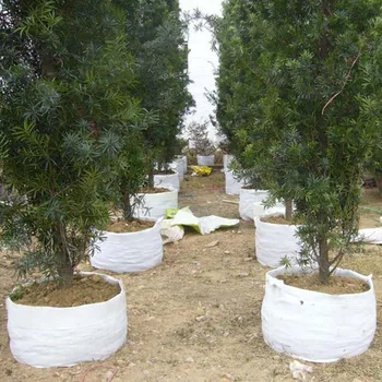 

1 Pc Non Woven Grow Bag Aeration Pot Containers Plant bag 3 Sizes Root Container White Round Fabric Pots jardin P7Ding