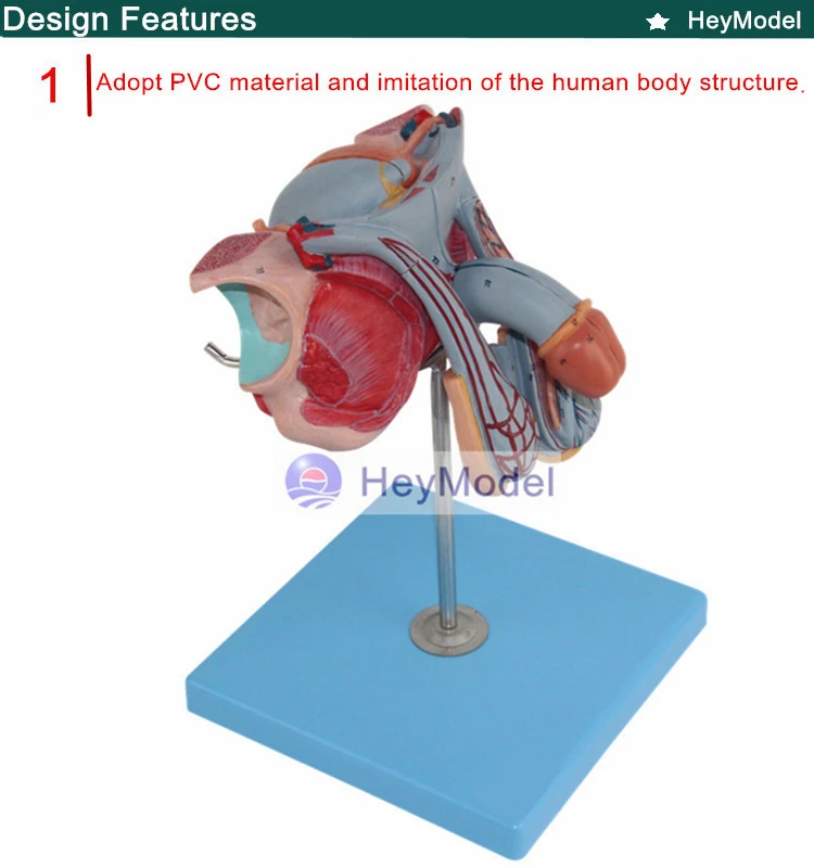 1.PVC_