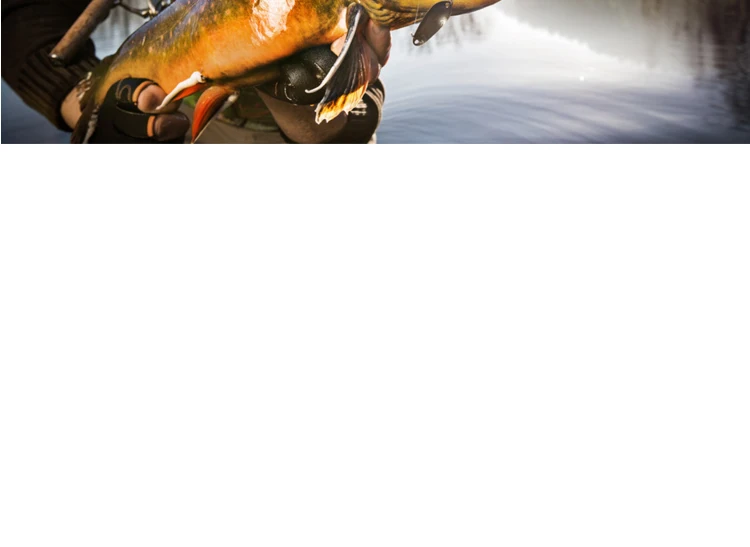 Vara de Pesca Pequenos das Crianças Nova Destacável Portátil Conjunto 25 cm Comprimento Trecho 150 só 20 de pesca pequenos das crianças só 25 cm comprimento Trecho 150 cm