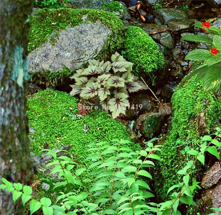 High Quality Renovação da Casa