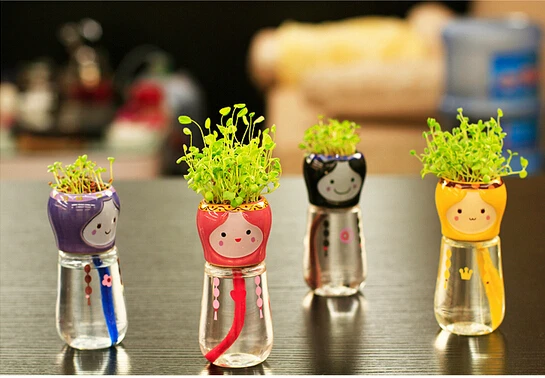 diy büro geschenke floral bonsai dekoration mini diy magie begrünung kreative reizende geschenke blumenerde blumentopf kultur büro diy büro geschenke floral bonsai dekoration mini diy magie begrünung kreative reizende geschenke blumenerde blumentopf kultur büro