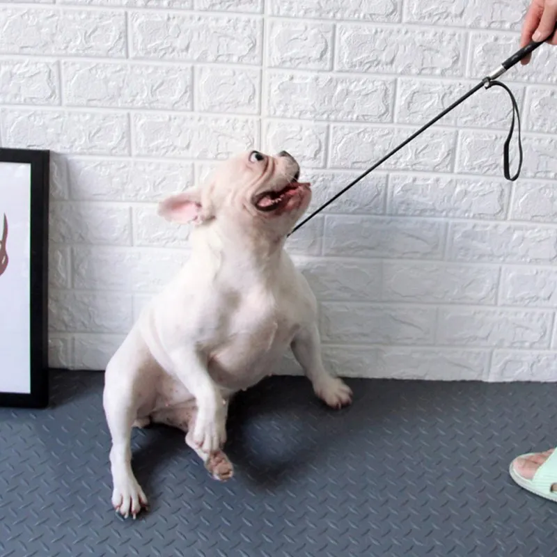 Тренировочная плеть для собак, тренировочная клюшка для домашних животных, популярное устройство для дрессировки собак, ручка для управления ведением домашних животных для крупных собак
