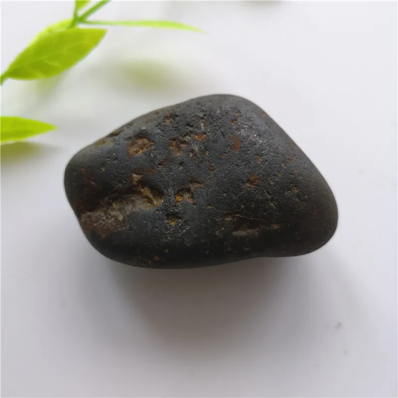 Campo del Cielo Meteorite Iron Meteor Space Rock FREE SHIPPING IN USA!