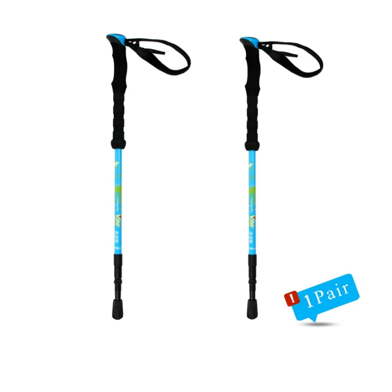 pair of walking sticks